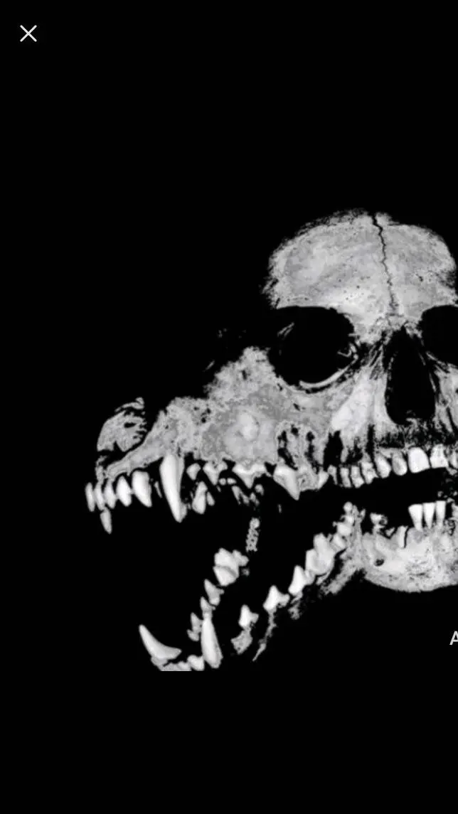 ai character: hhxhb spin bottle  background