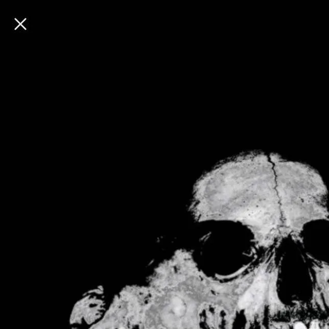 chat with ai character: hhxhb spin bottle 