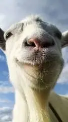 ai character: Mr. Goat  background