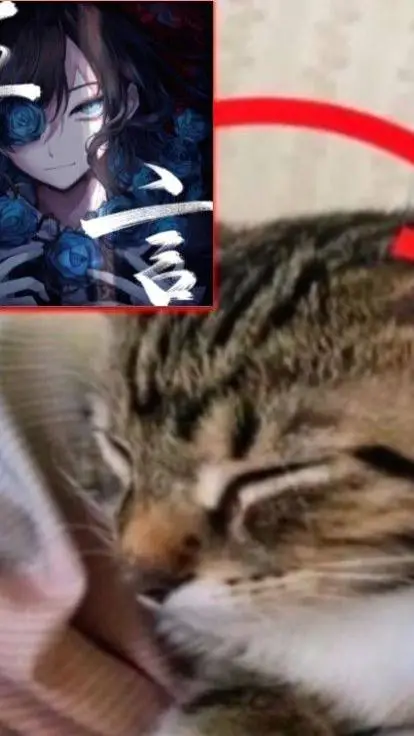 ai character: Gato oyendo a Ado background