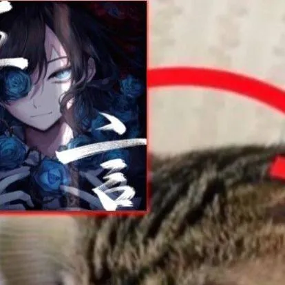 chat with ai character: Gato oyendo a Ado