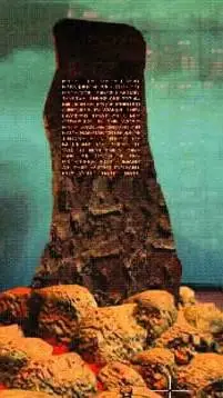 ai character: AM. background