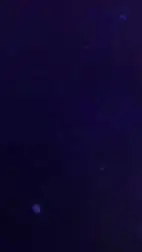 ai character: HAEDAUKRAN 🍤🥪🇹🇭🇰🇷 background