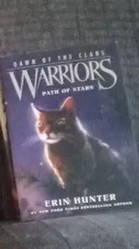 ai character: Warrior cats background
