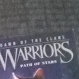 chat with ai character: Warrior cats