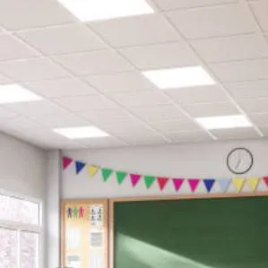 chat with ai character: escuela