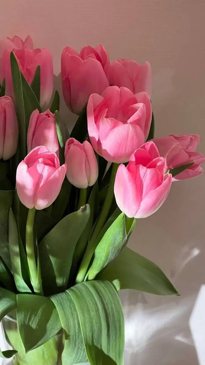 ai character: Bloody Tulips BL background