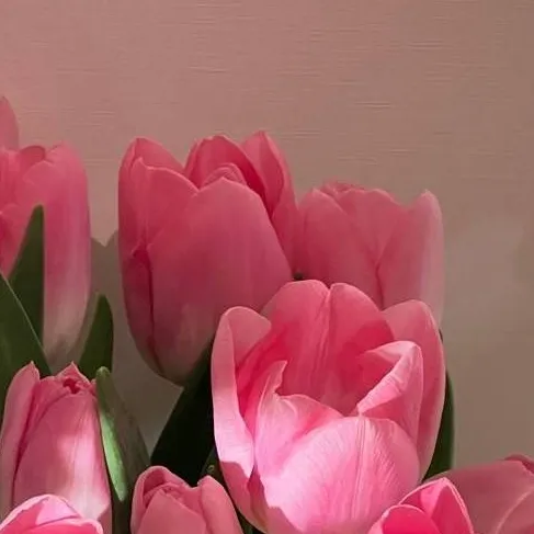 chat with ai character: Bloody Tulips BL