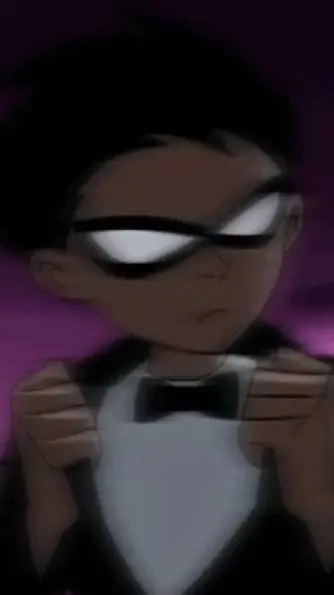 ai character: Robin background