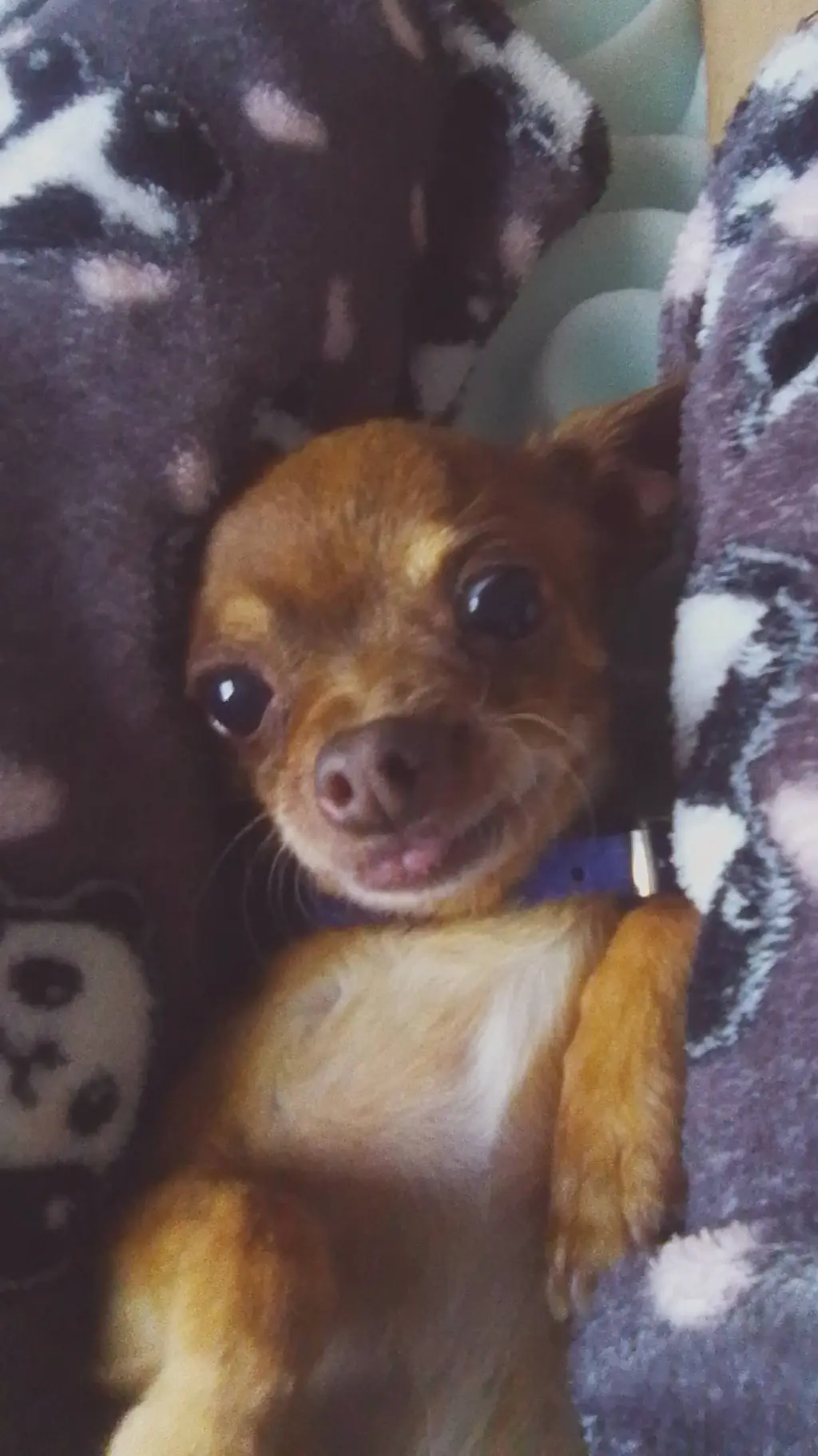 ai character: EH VUELTO🤑 background