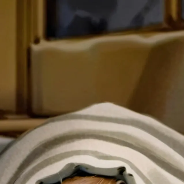 chat with ai character: capybara dormido