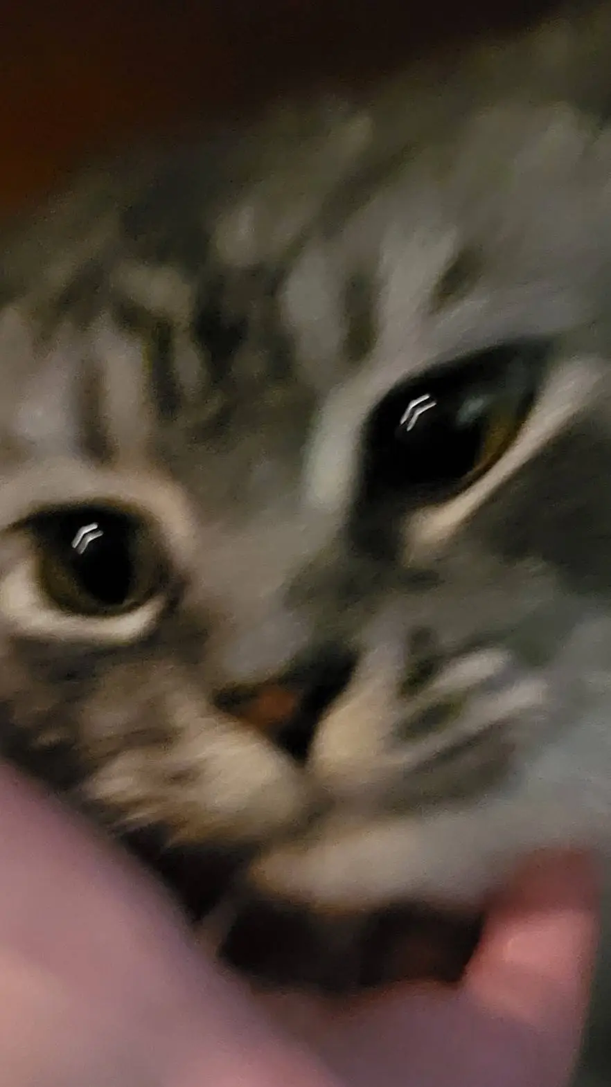 Talkie AI - Chat with Oliver