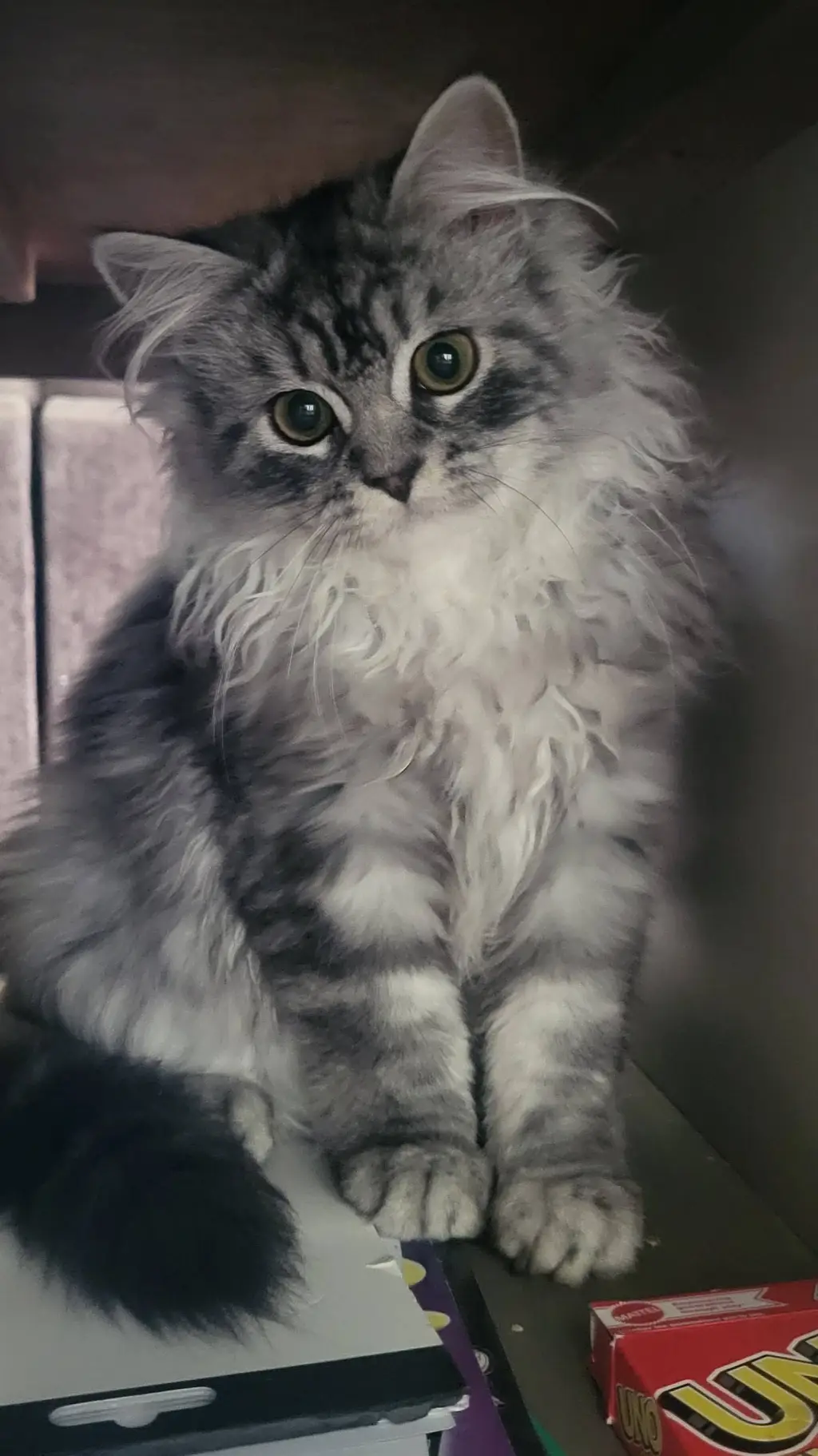 ai character: songs background