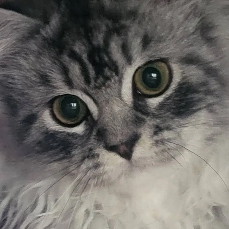 chat with ai character: songs