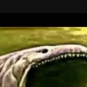 chat with ai character: a.