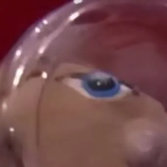 chat with ai character: brooklyn t guy 