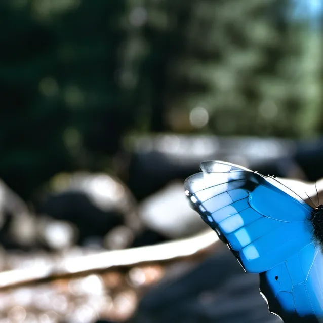 chat with ai character: dw but poor