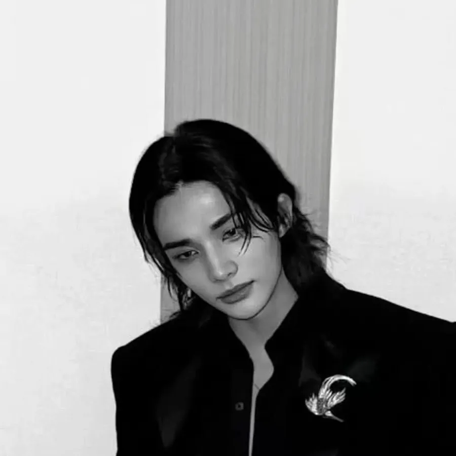 chat with ai character: +^Hwang Hyunjin🎱