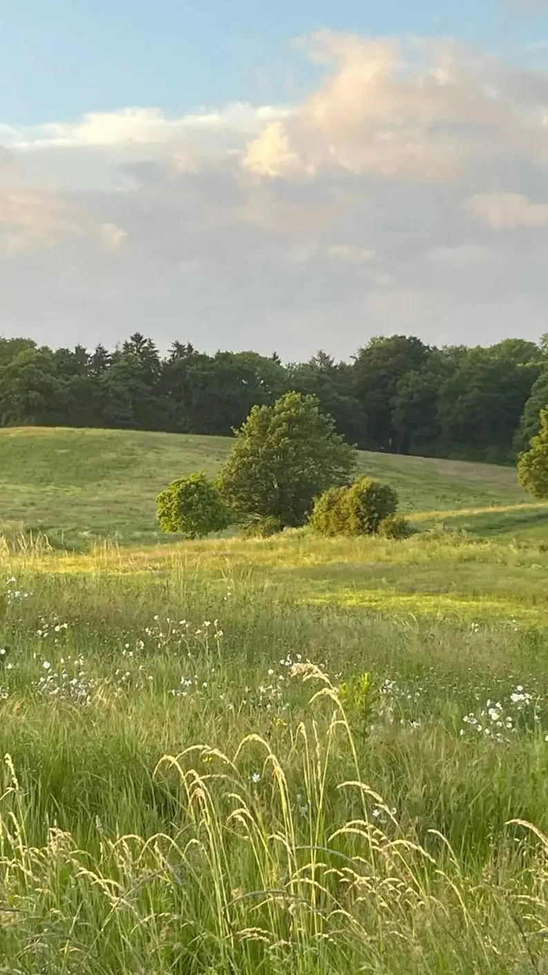 ai character: jilix background