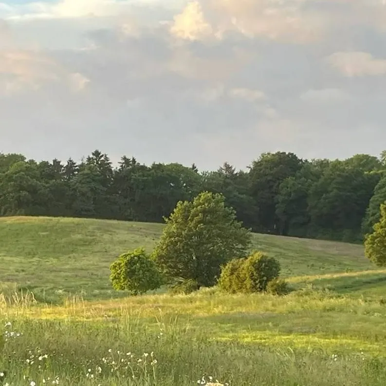 chat with ai character: jilix