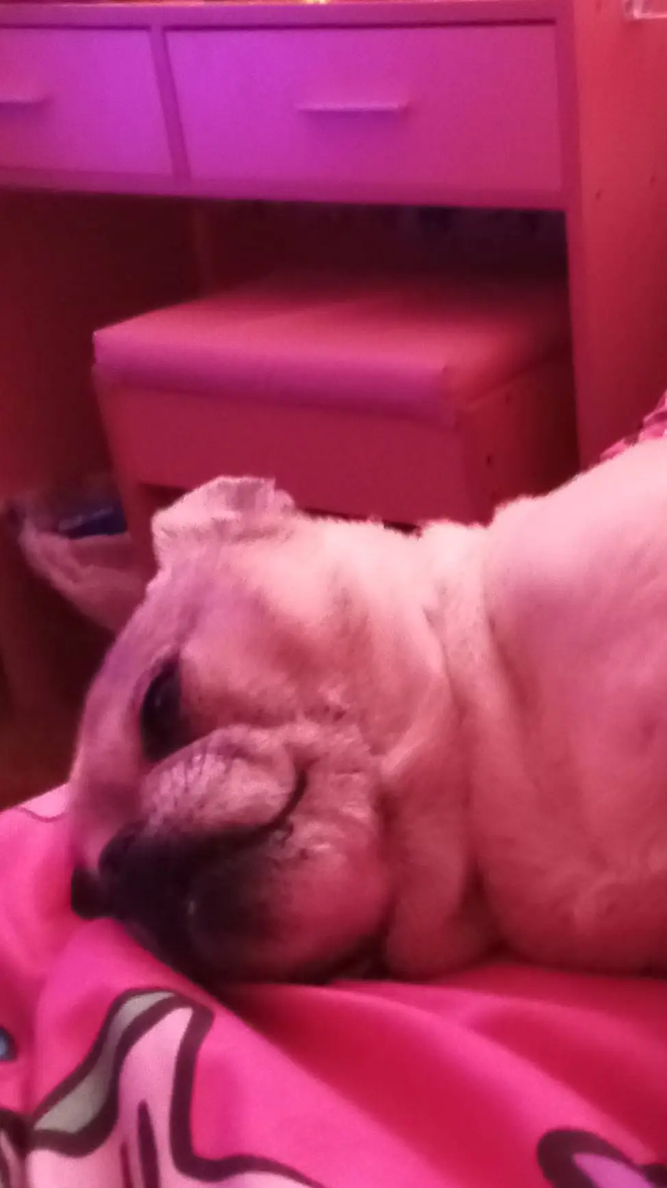 ai character: muzan, his lil sis background