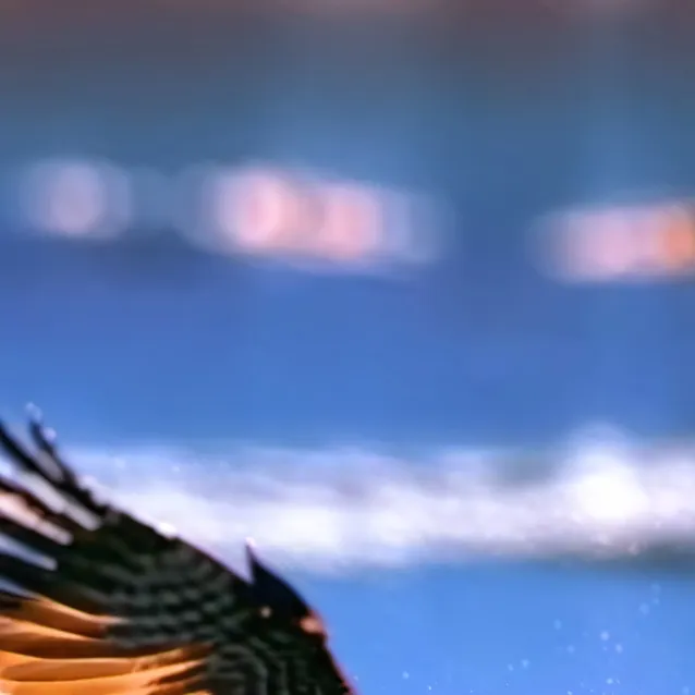 chat with ai character: Goji Boi 