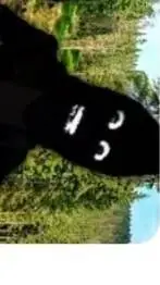 ai character: El escondite background
