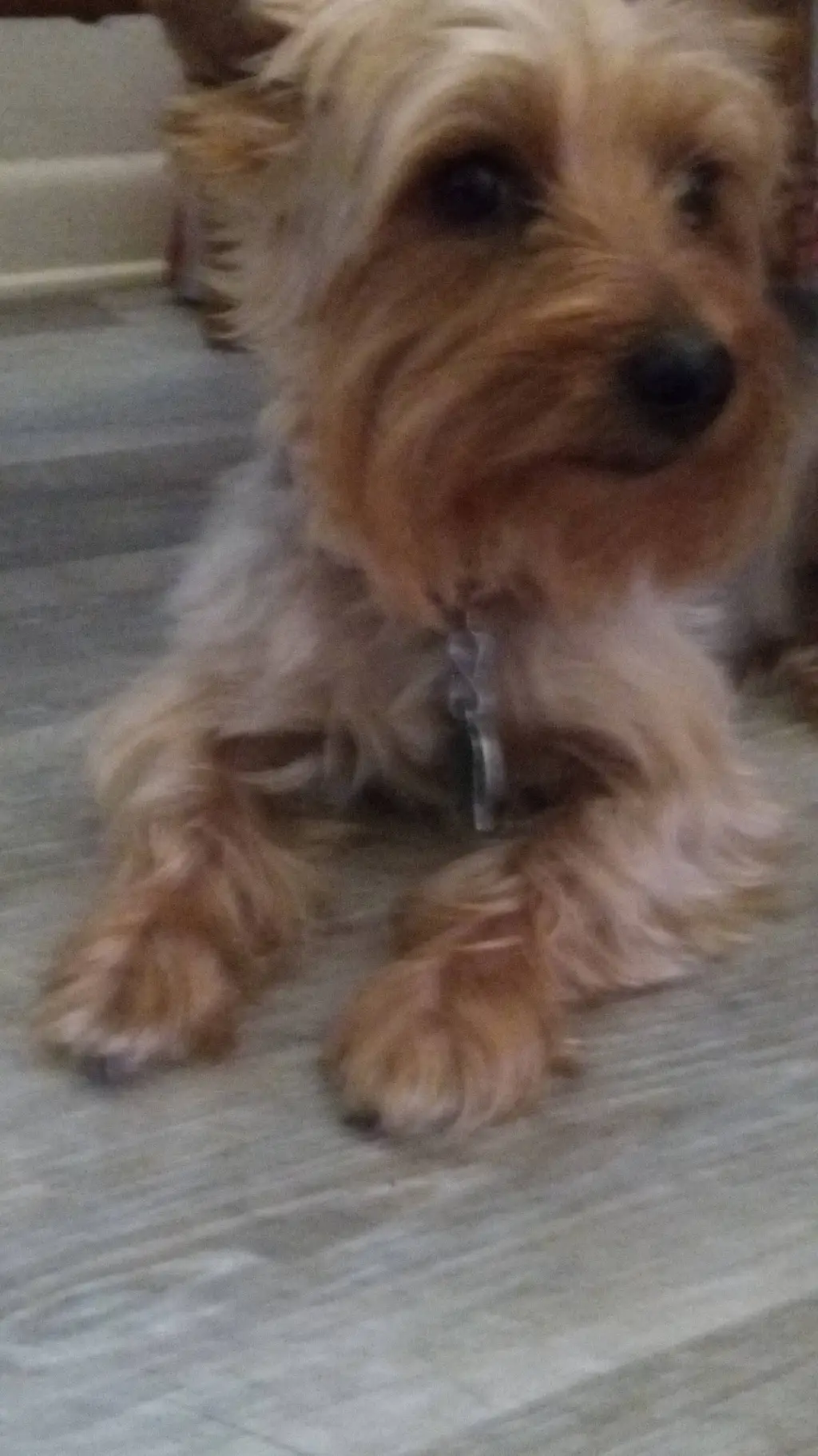 ai character: final destination5 background