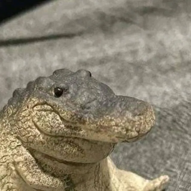 chat with ai character: greg