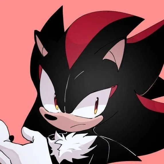 chat with ai character: ⋆🐾°sonadow⋆🐾°