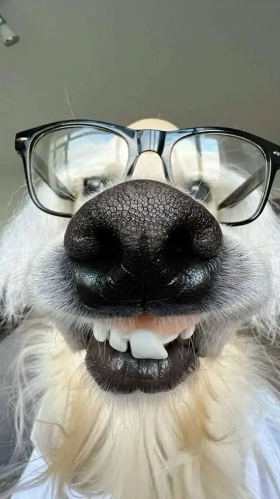 ai character: MHA practiv background