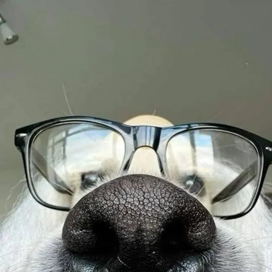 chat with ai character: MHA practiv