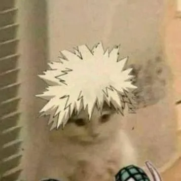 chat with ai character: ~★REQUESTS★~