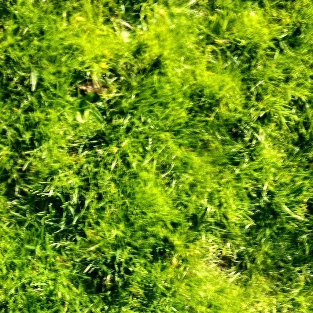 chat with ai character: denki 