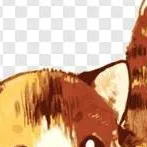 chat with ai character: Tom🐈