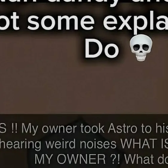 chat with ai character: Idk