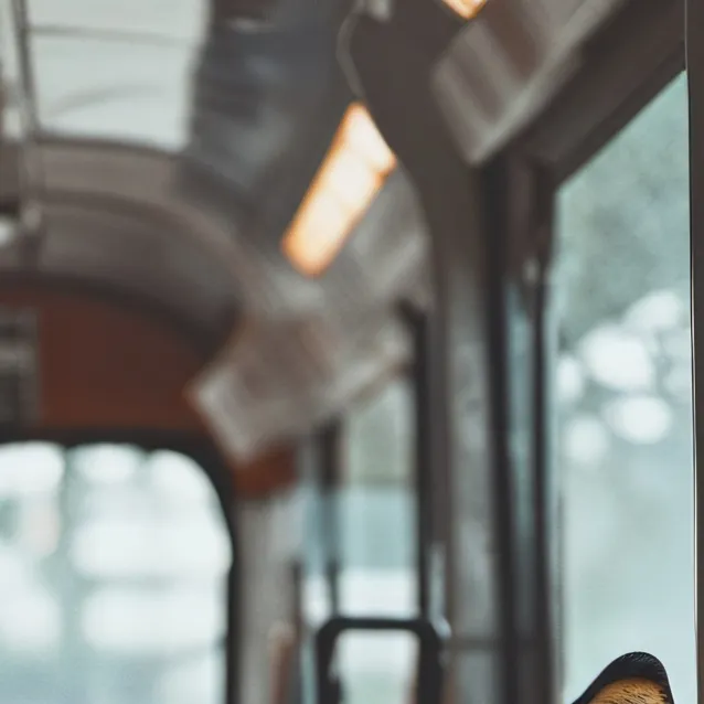 chat with ai character: Fox in a bus