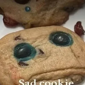 chat with ai character: sad cookie