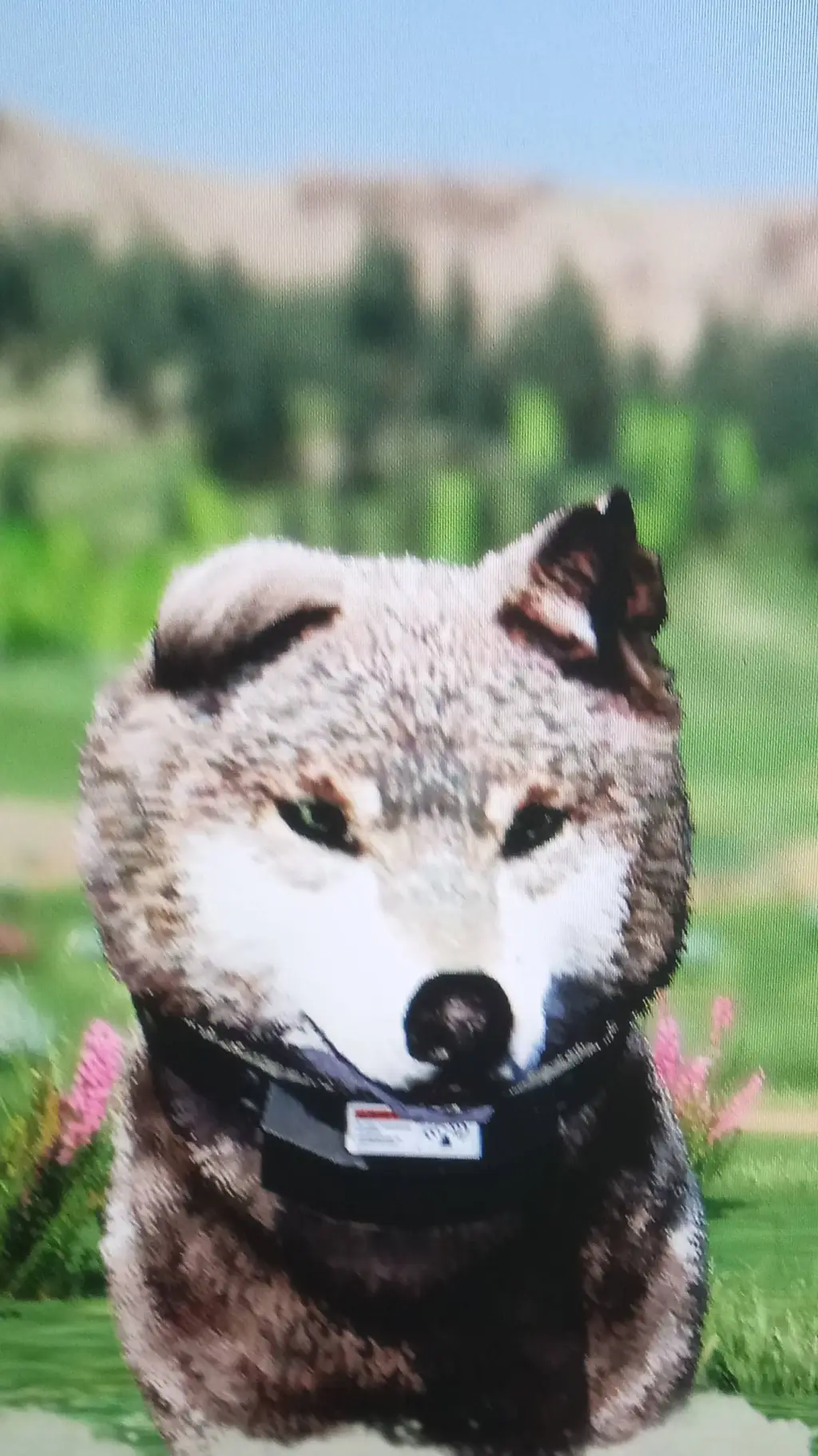 ai character: Selina background