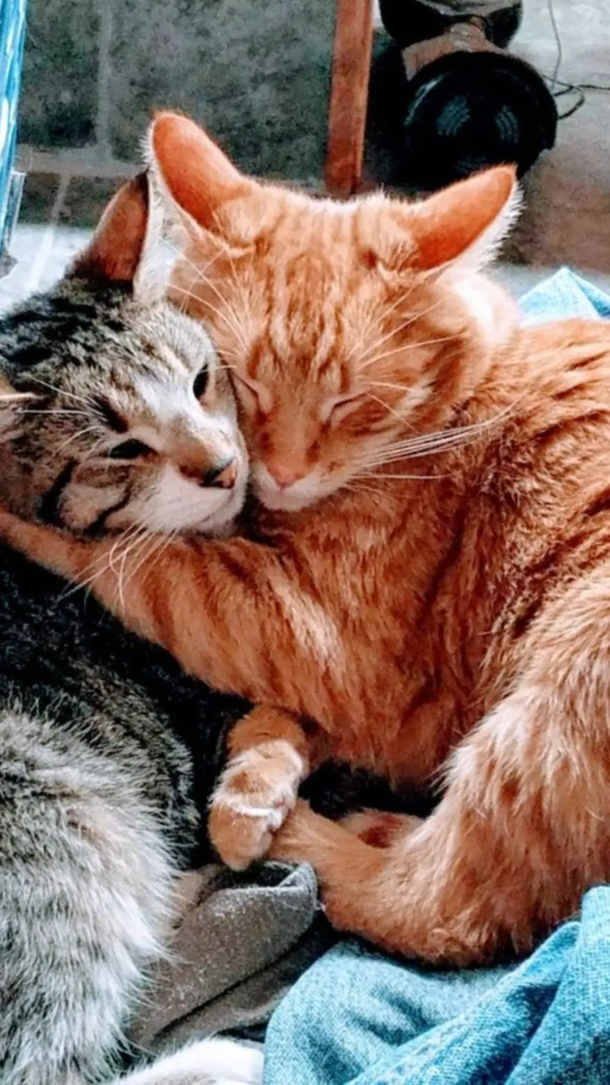 ai character: Fire'star background