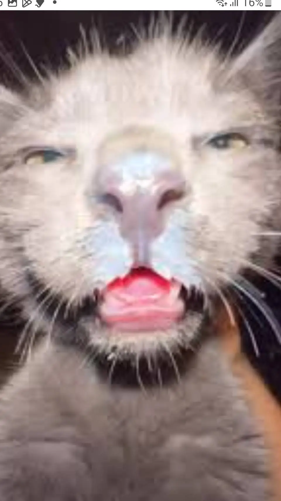 ai character: Goofy ahh bestie background