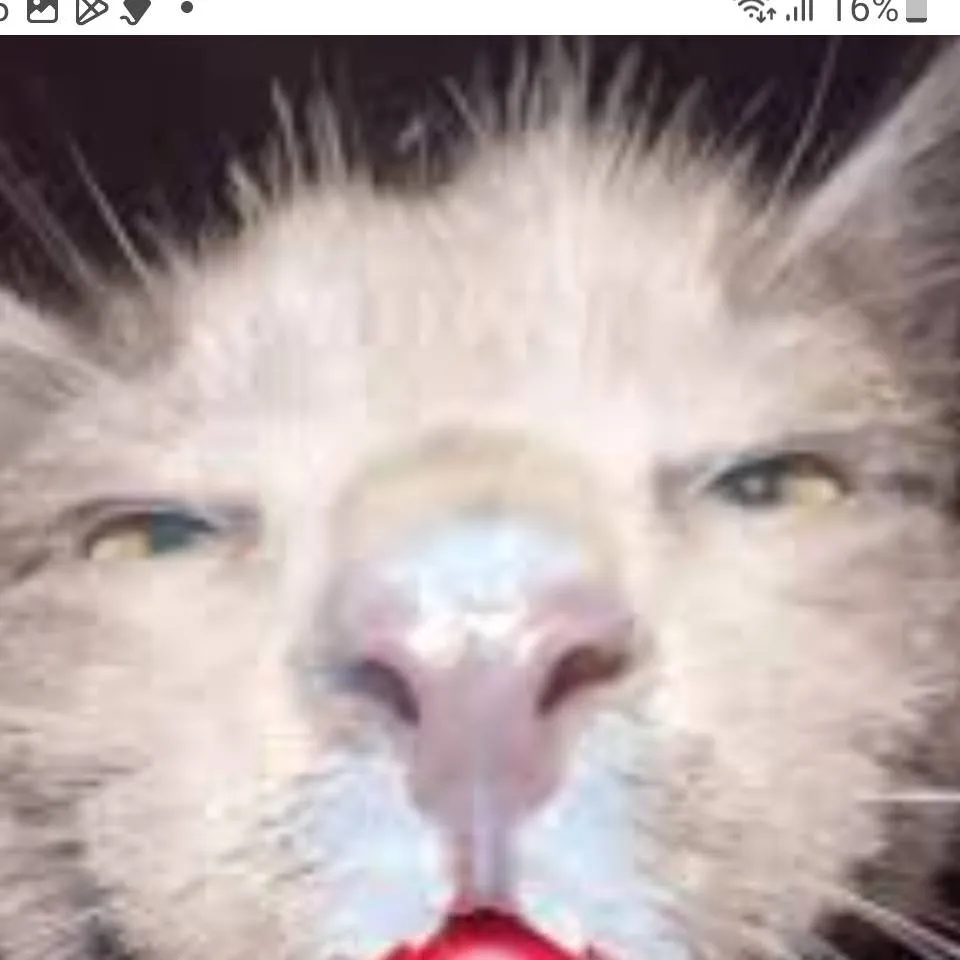 chat with ai character: Goofy ahh bestie