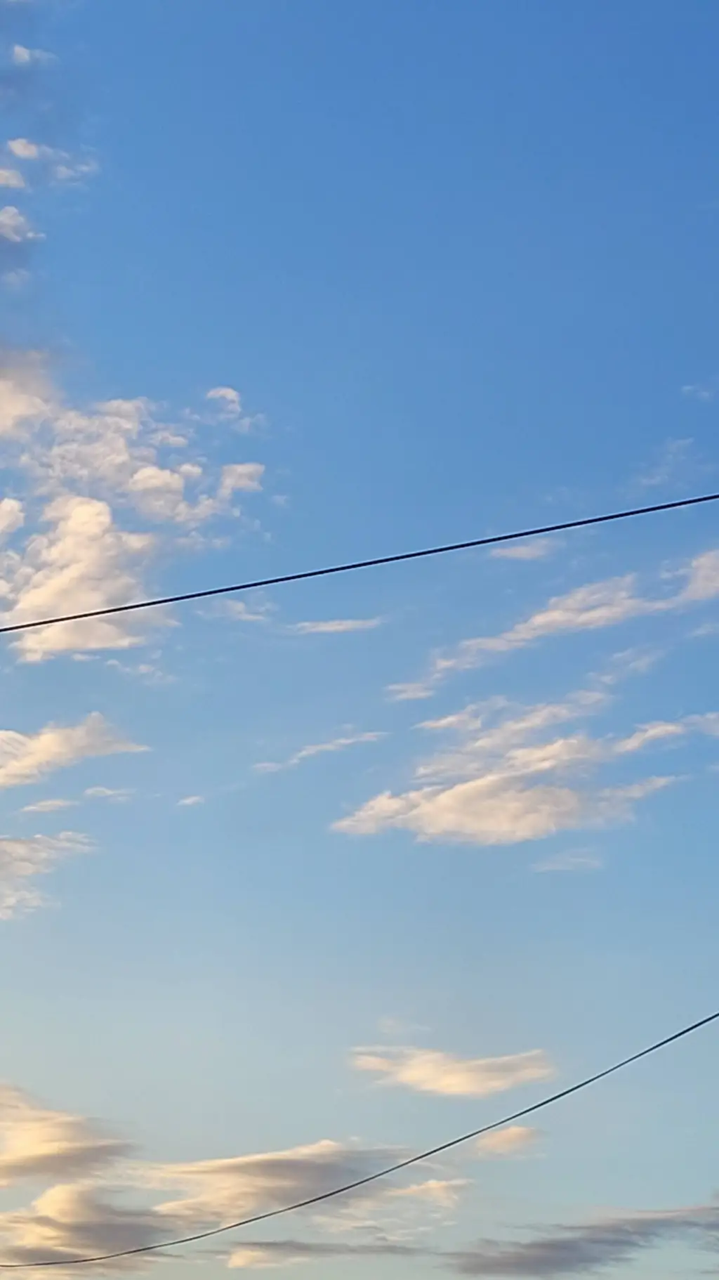 ai character: Random background