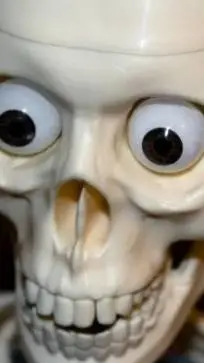 ai character: Mundo Calaca (2) background