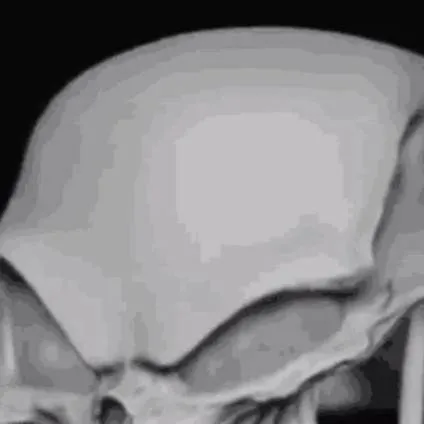 chat with ai character: Mundo Calaca (9)