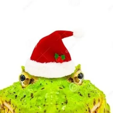 chat with ai character: Sapito Navideño