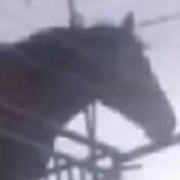 chat with ai character: juan