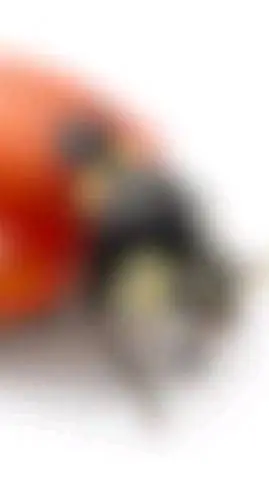 ai character: coso background