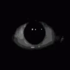 chat with ai character: {HORROR}