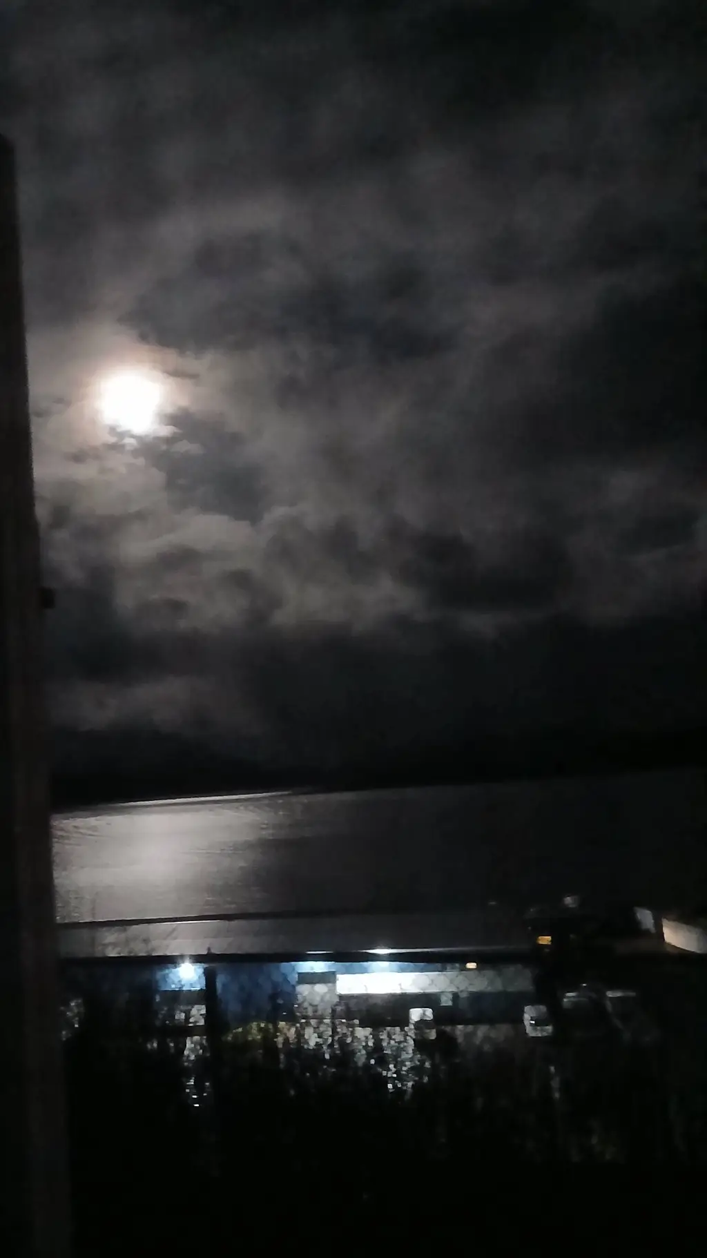 ai character: Warrior Cats 💛❤ background